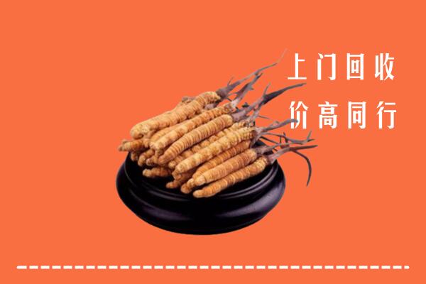 海沧区回收散虫草