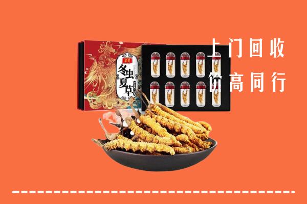 收购行情：海沧区回收虫草